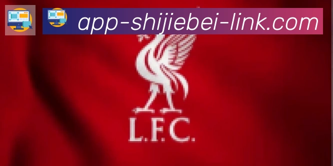 美加墨世界杯APP下载合作伙伴